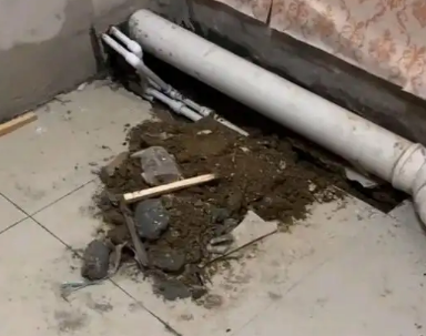 三台卫生间漏水检测哪家好